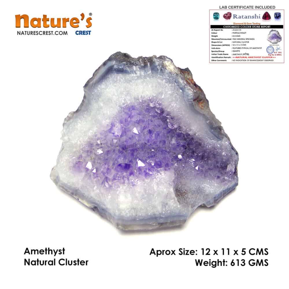 Nature's Crest - Amethyst Natural Cluster (613 gms) - Amethyst Cluster Vector 613 gms